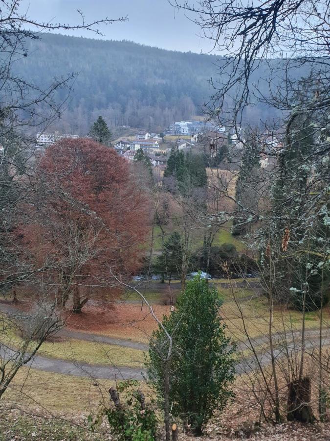 Ferienwohnung Nina Direkt In Zentrum Bad Wildbad Exteriör bild