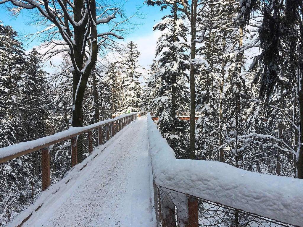 Ferienwohnung Nina Direkt In Zentrum Bad Wildbad Exteriör bild